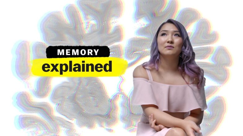 Memory, Explained